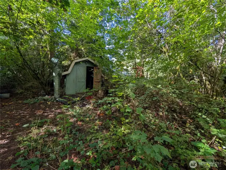 Small shed to the right of property. Could still use or tear down.