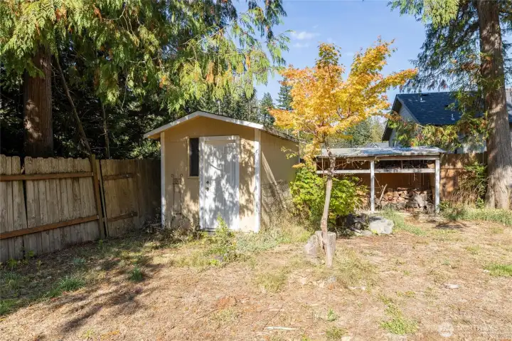 Wood shed for additional storage