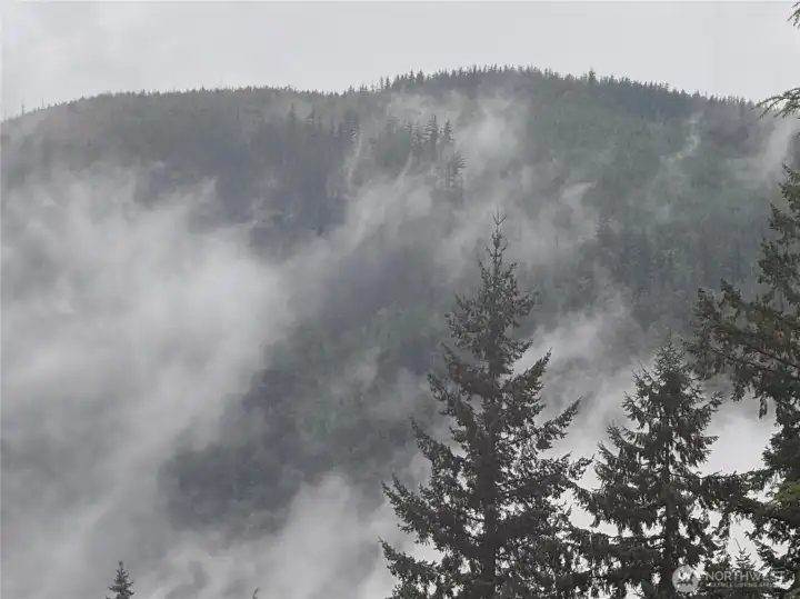 Misty Mountains in the winter