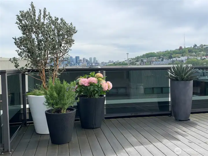 Professionally designed landscape/ flower pots with a drip system for easy care