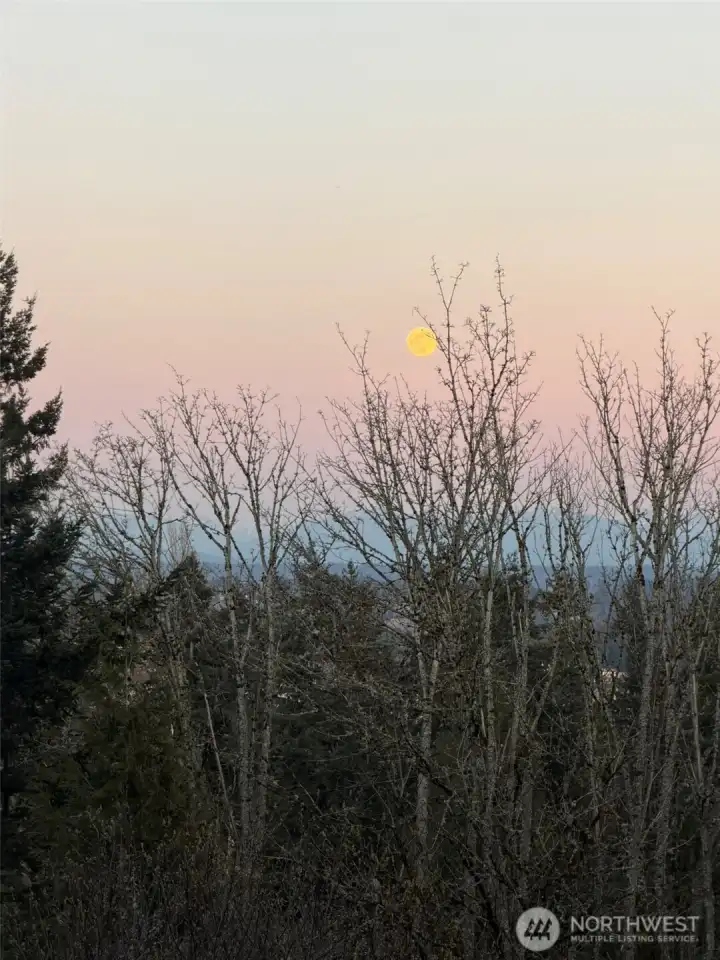 REcent full moon rising from the upper deck.