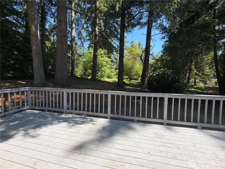 Beautiful N.W. views from deck.  A wonderful place to watch nature.