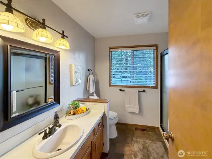 Hall bath with updated flooring and lighting.