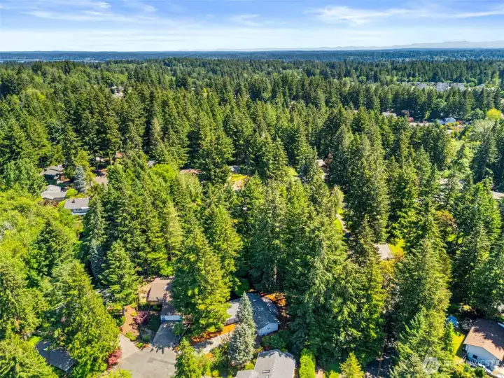 Top-down view of home shows private N.W. setting.