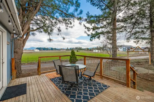 Wonderful back deck with views of Mt Baker and neighboring fields. Decks recently power washed waiting for sunshine and warmer weather so a new coat stain can be applied ! Great spot for summer bbq's !