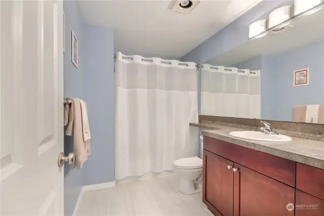 Bathroom with new vinyl plank flooring, lighting and paint.