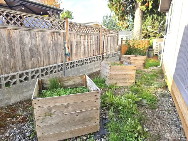 Garden boxes