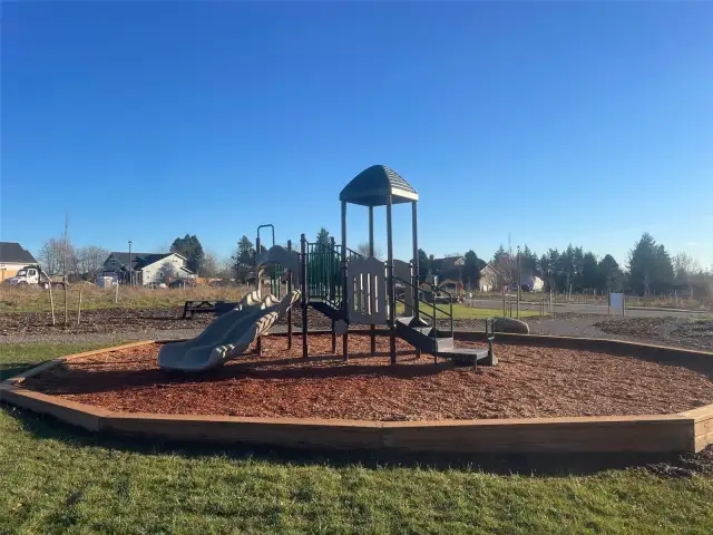 CHR Playground