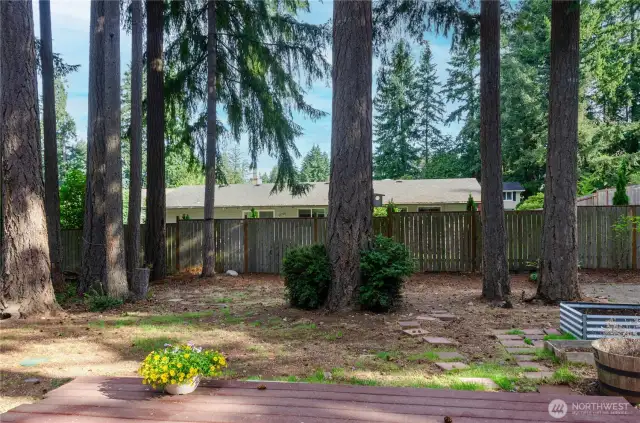 Lovely Size, Fully Fenced Yard with Lots of Potential