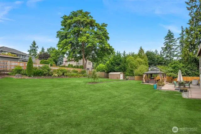 Nearly a half acre lot. Fruit trees, berry bushes and plenty of space to garden