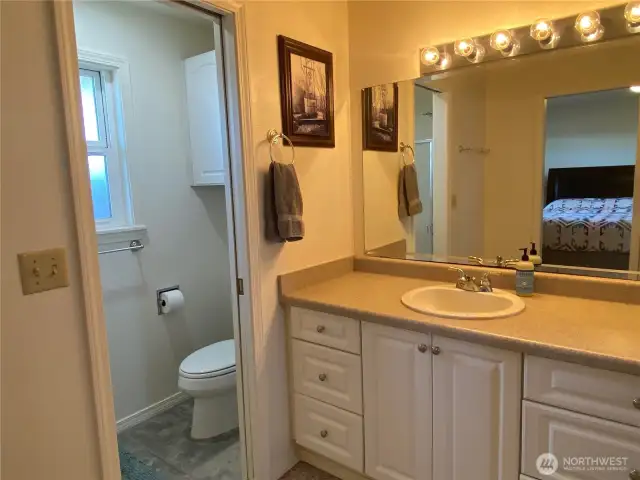 Vanity w pocket door to toilet and shower
