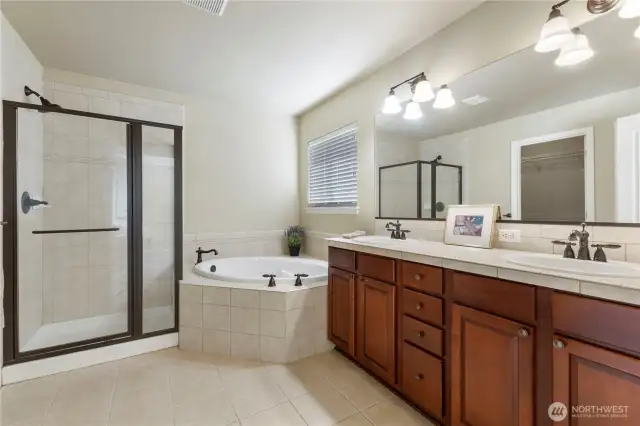 Beautiful Primary bath!