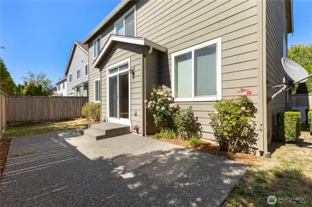 Low maintenance back yard.