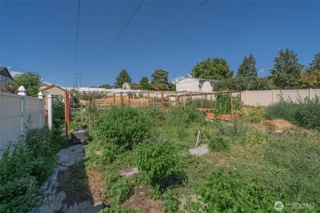 Vegetable garden area