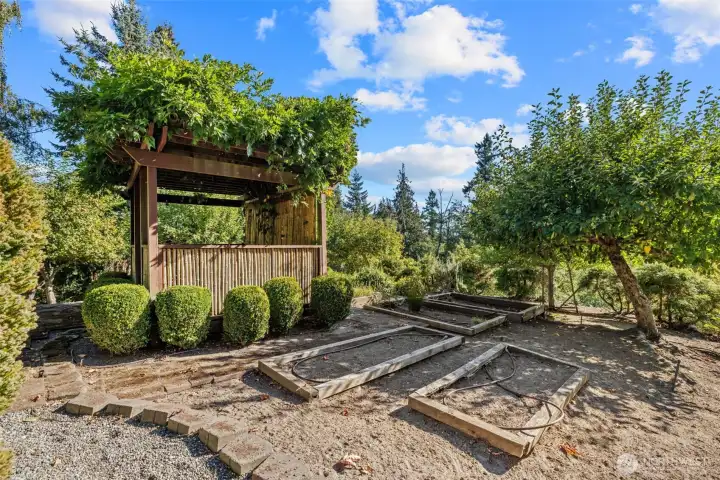 Vegetable garden area.