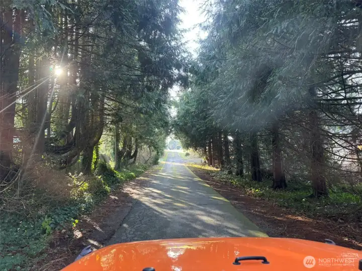 Street leading to home.
