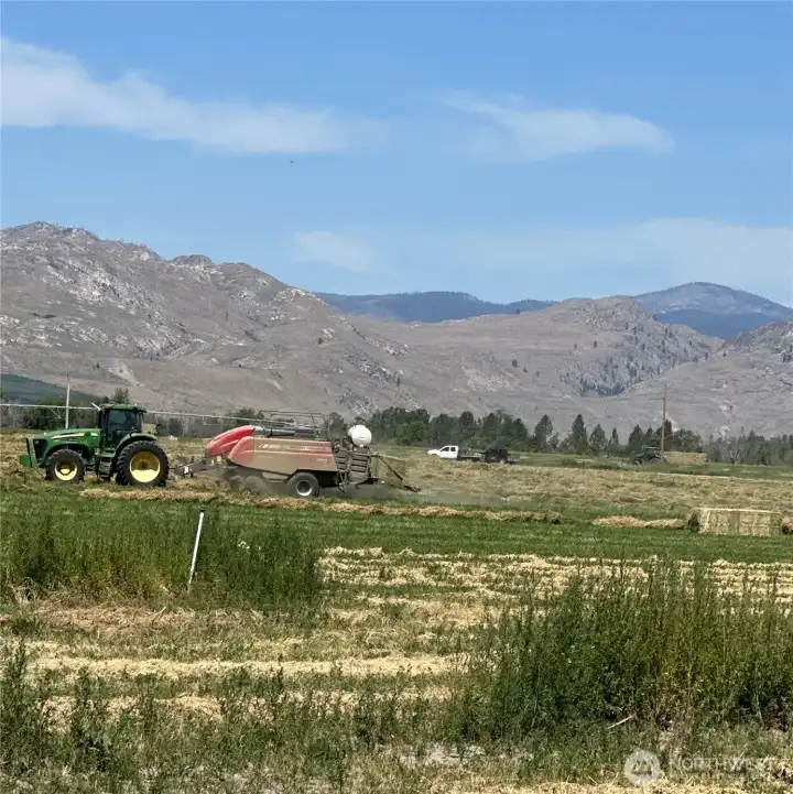 Baling of the alfalfa crop