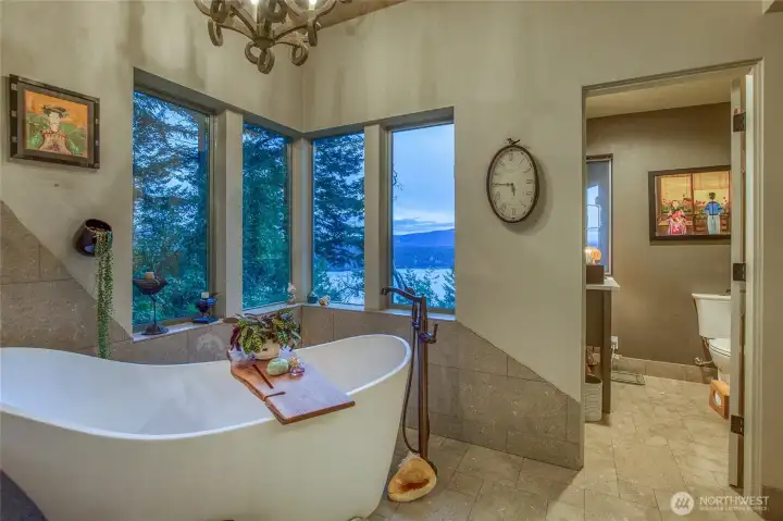 Main bath with a view.