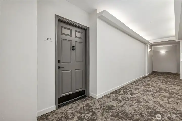 Condo front entry door
