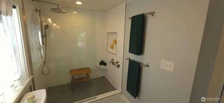 Primary bathroom shower