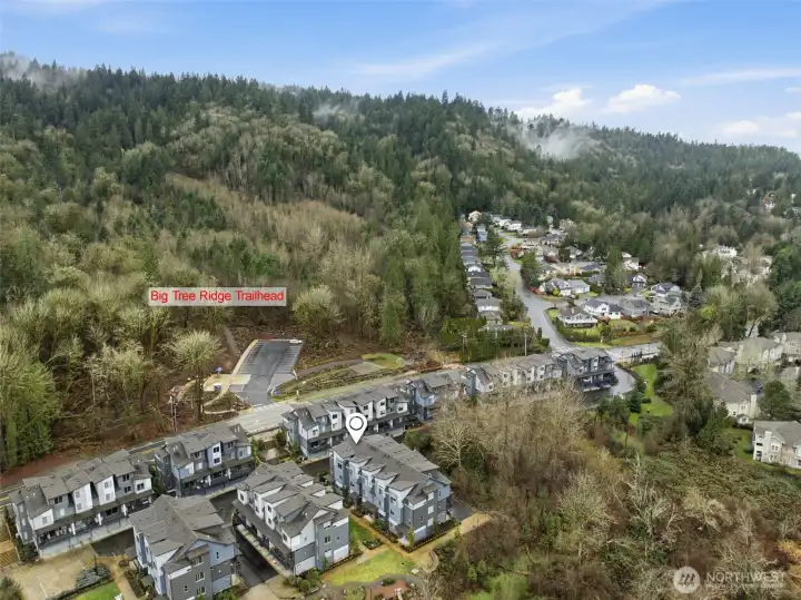 Bird’s-eye view highlighting the neighborhood’s scenic Issaquah setting