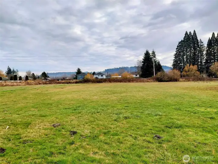 1.28 acres in Pacific residential neighborhood