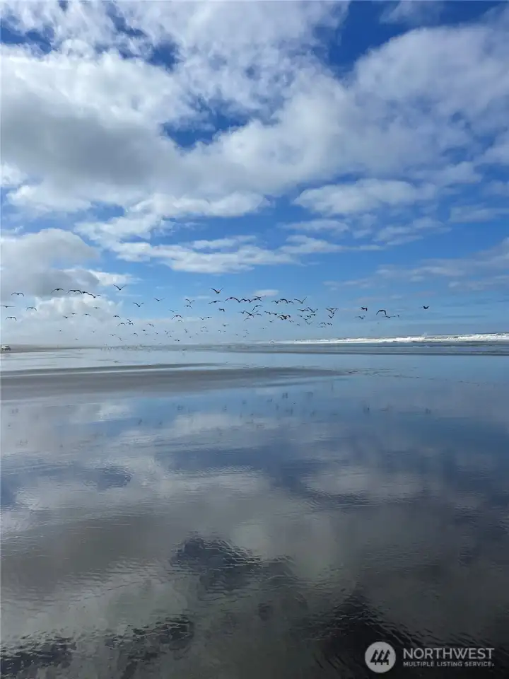 Miles of peaceful solitude.