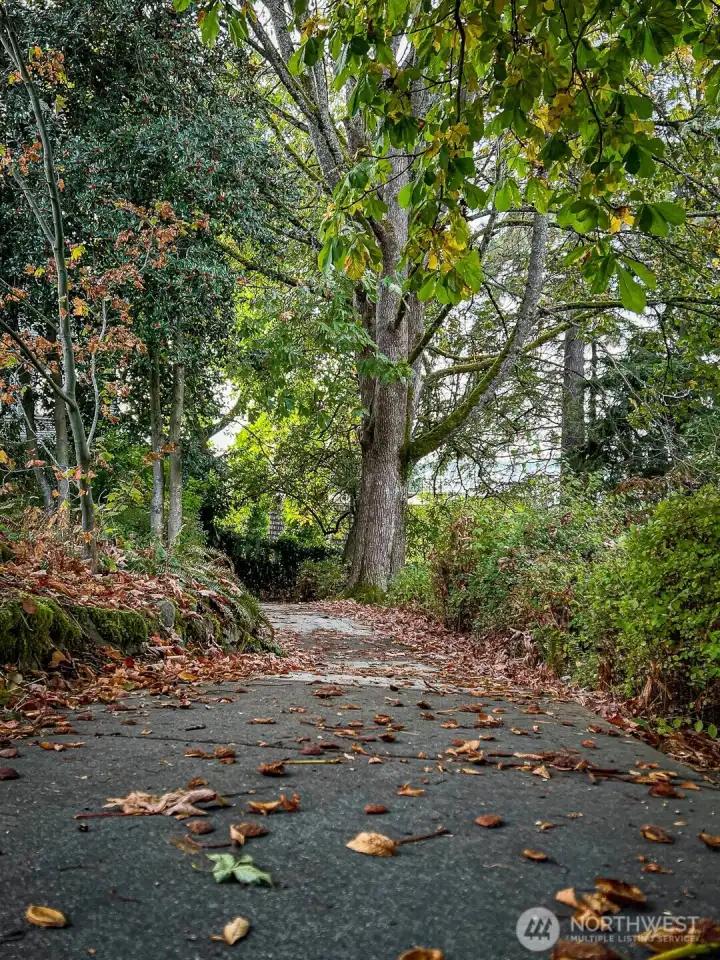 Right next to the building is the Crooked Path Trail!