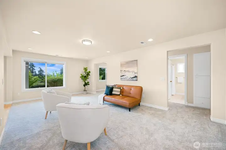 Lower level living room