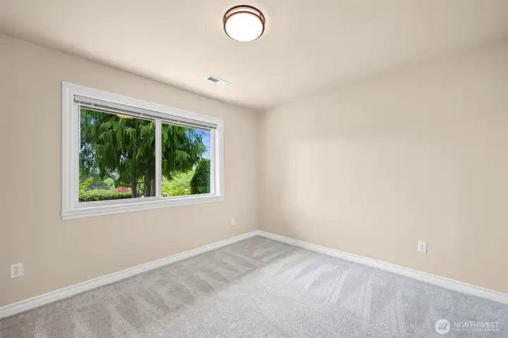 Lower level bedroom