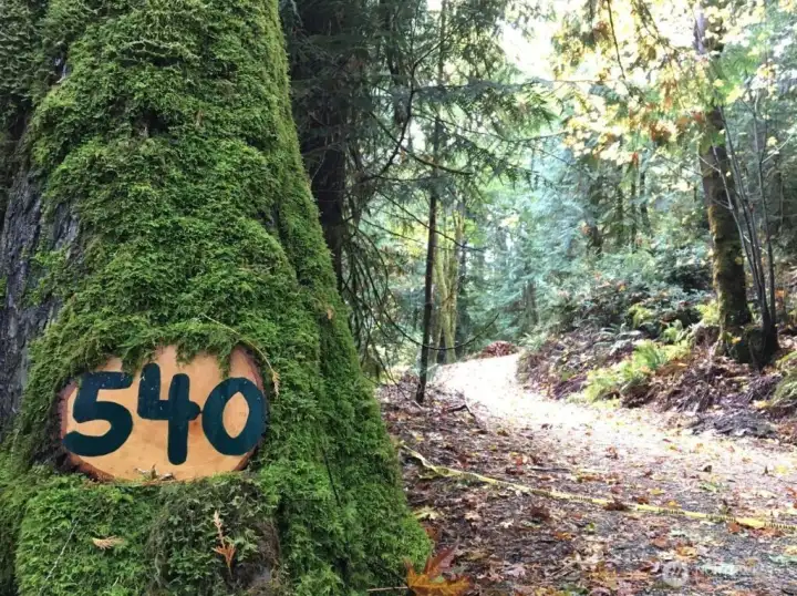 Address marker.  Driveway to center of property.