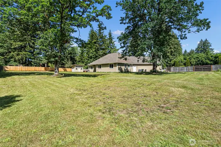 Beautiful mature trees dot the backyard giving you breaks for shade when you might need it.