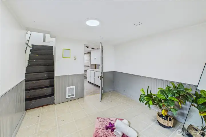 Bonus Room in Basement