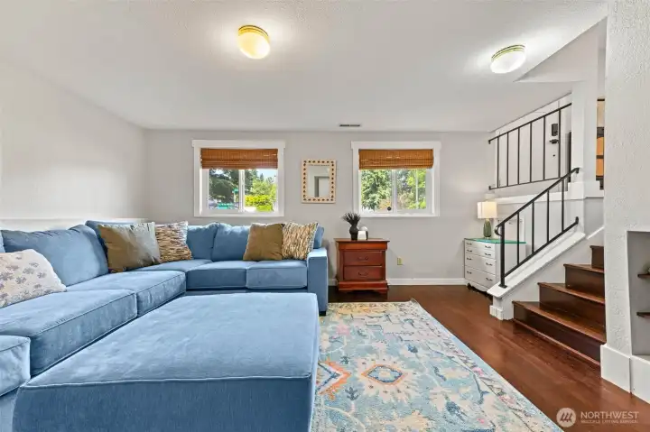 Lower level Family Room Lower level Family Room