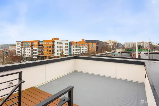 Roof Top Deck w/Mountain Views