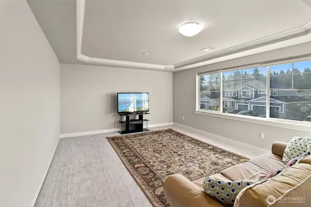 Spacious Bonus Room or Even Additional Bedroom