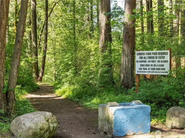 This trail leads down to the river...