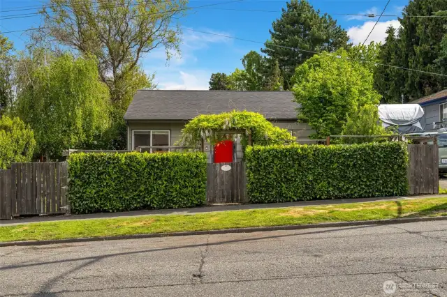 House is set back from the street with privacy provided by both a fence and laurels.  Parking is provided on the street as well as off the street by pulling your car through the gate to the left of the photo, into the yard.
