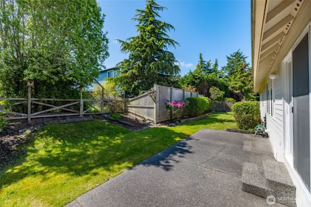 Cute backyard with patio and fenced area.
