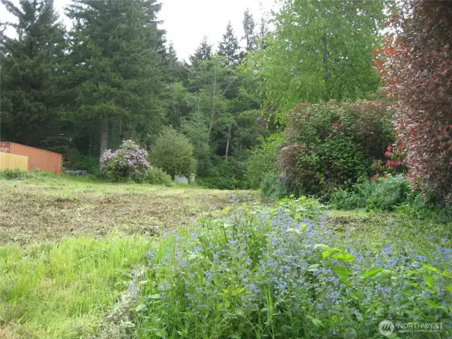 Looking from the street