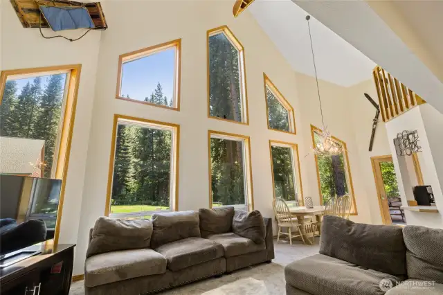 Massive windows in the main living area allowing natural light