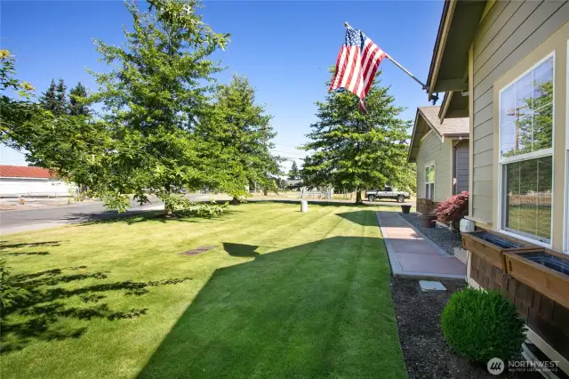 Front yard