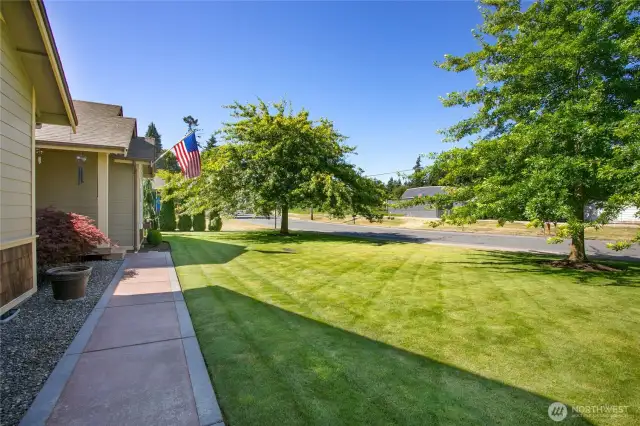 Front yard with walkway to entry