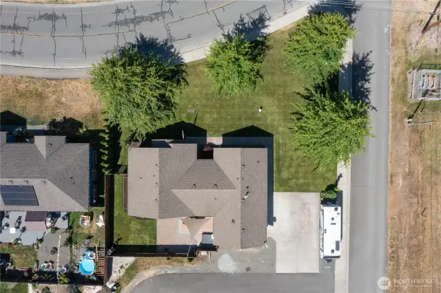 Parklike yard with mature trees