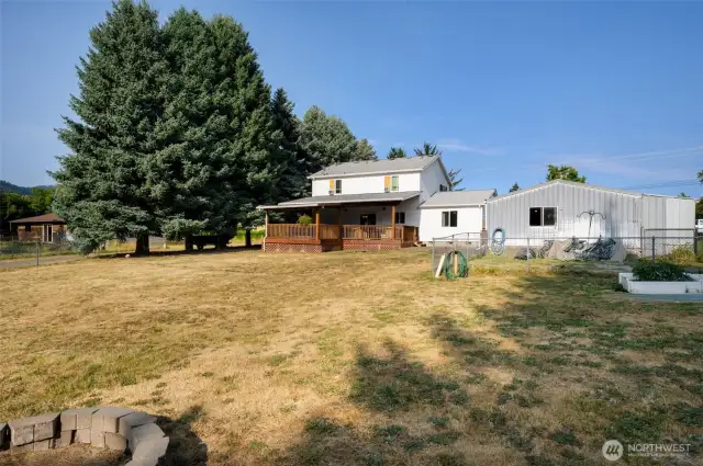 Backyard