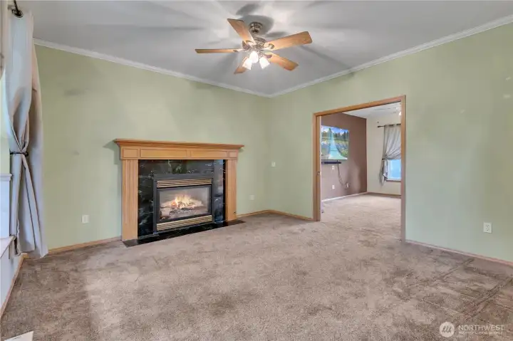 Propane fireplace  - propane tank is remotely monitored and fill ups occur automatically