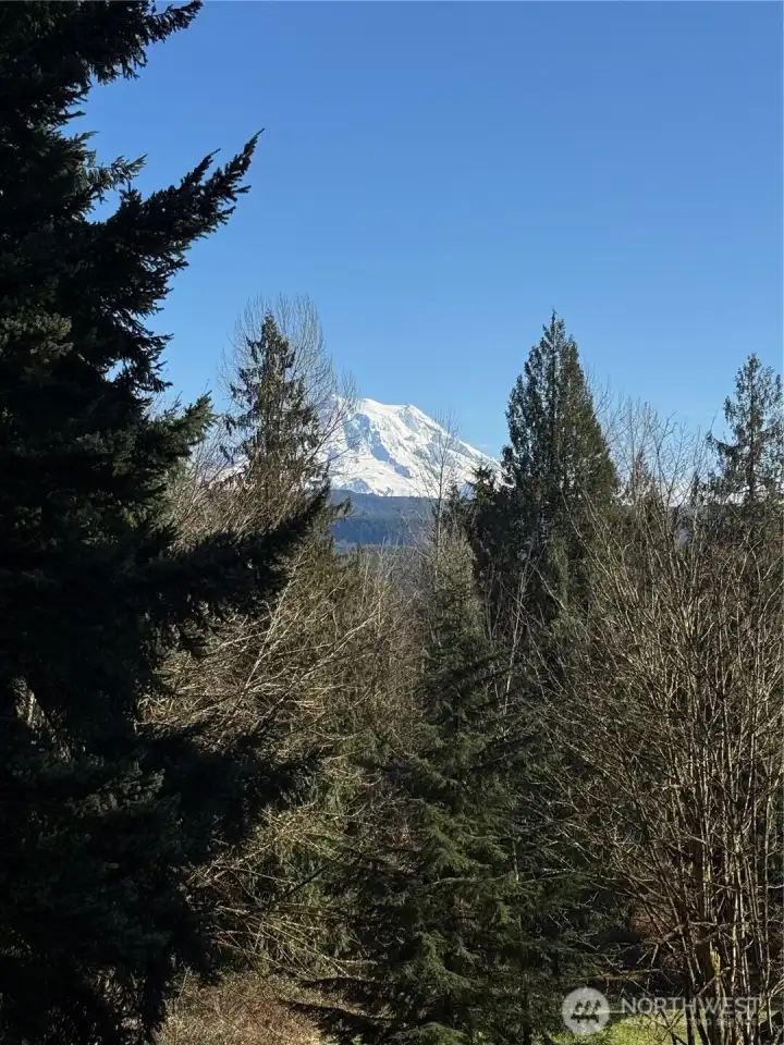 Mt Rainier from second floor primary room balcony