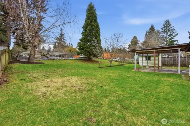 The large backyard has plenty of room for gardening or hobbies.