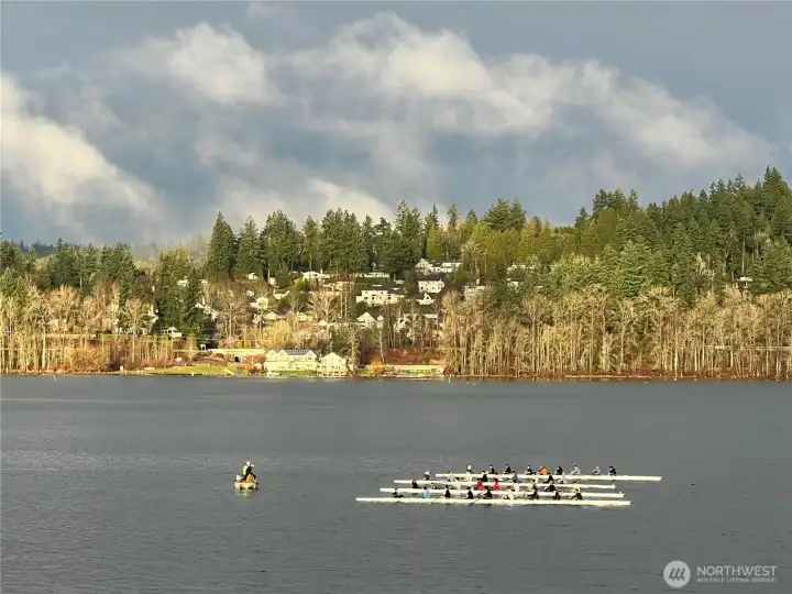 Views from your unit.