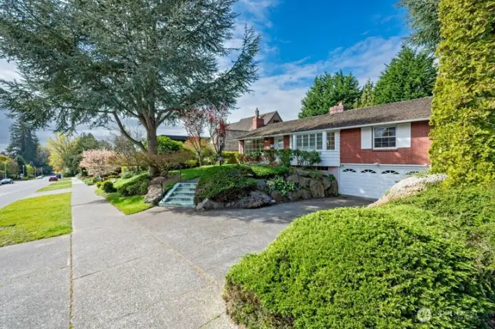 Looking south along Magnolia Boulevard. Could one find a better place to walk, ride or just move around?